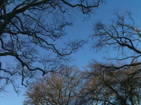 314625_10151224778008090_1219816502_n